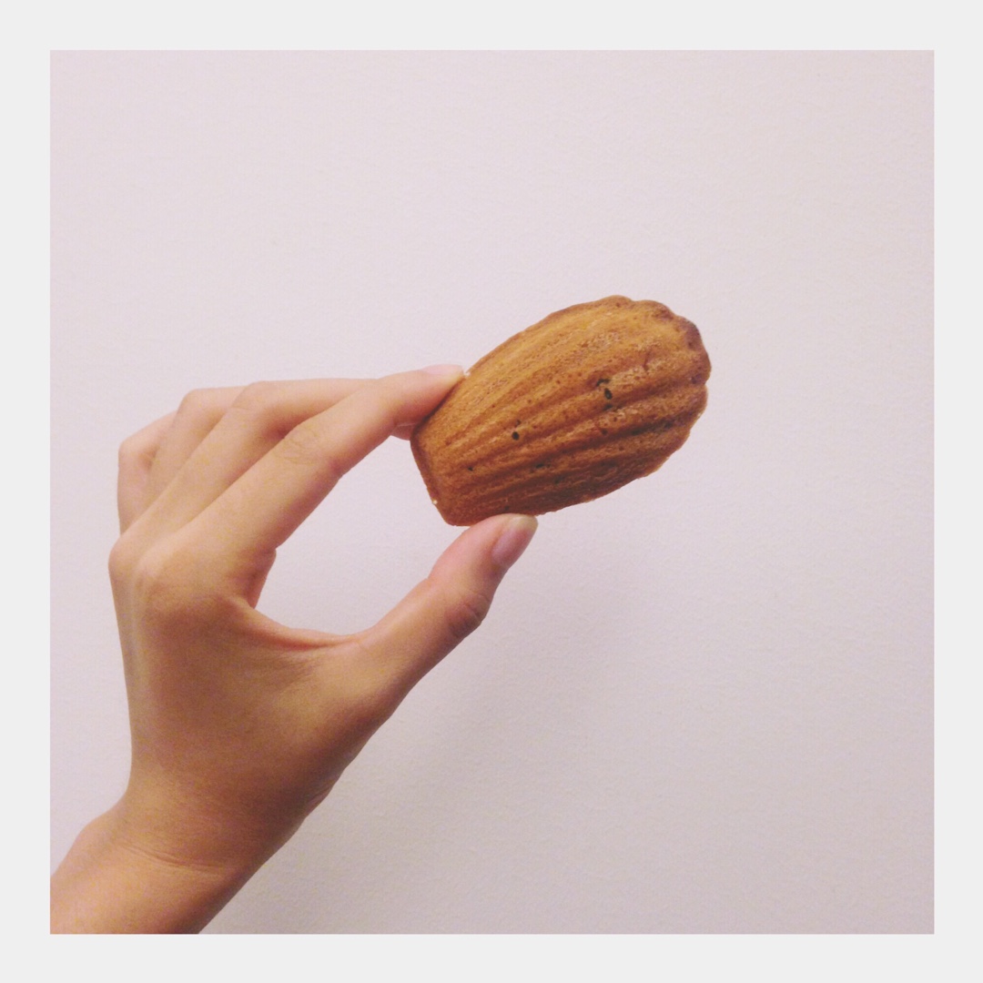 柠檬薄荷玛德琳 Lemon Mint Madeleine