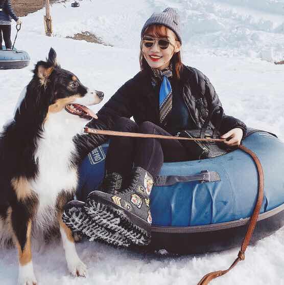 Ada玛丽阿达解小猴