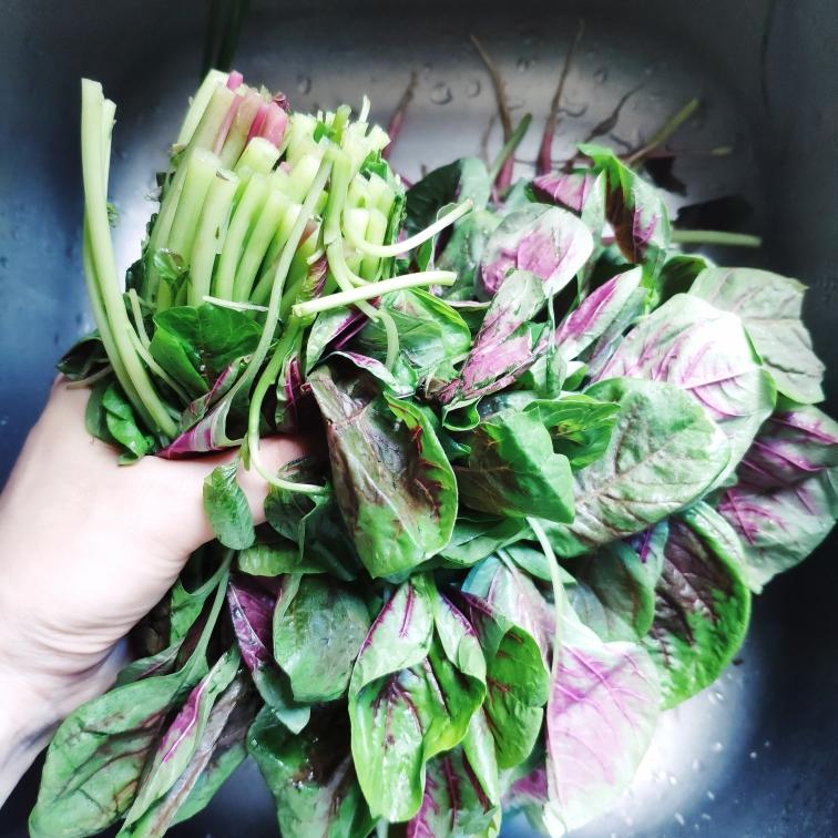 清炒苋菜