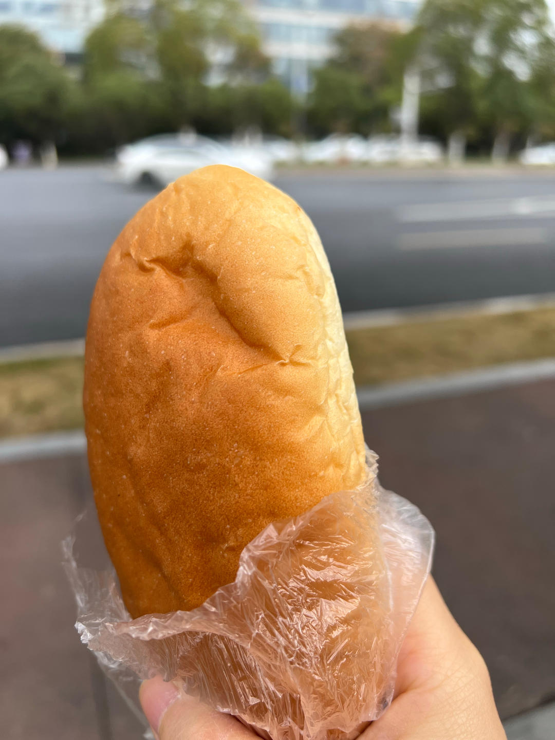 肉松沙拉酱面包（65度汤种）