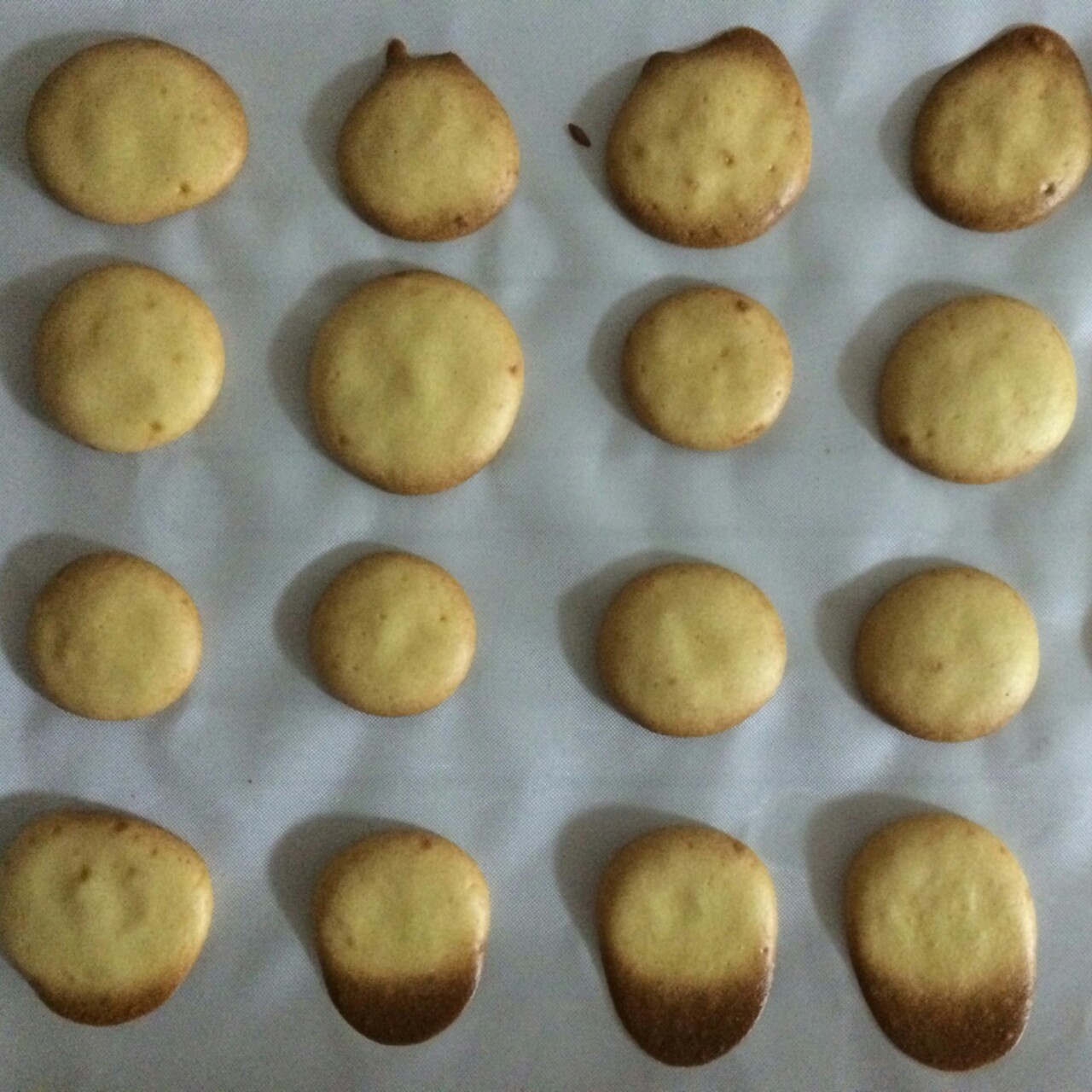 婴儿辅食版蛋奶小饼干（简单快手）