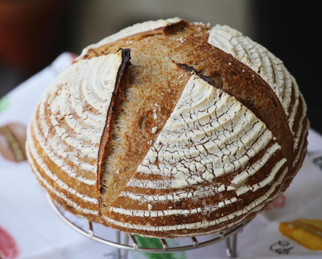 天然酵种鲁邦种硬欧包Sourdough Bread