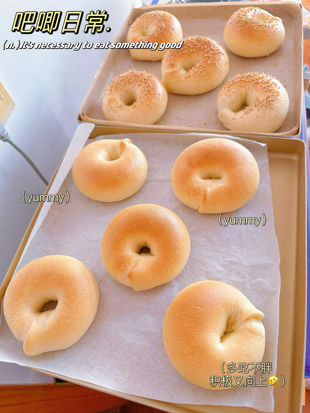 （波兰种）贝果