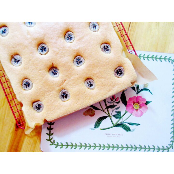 棉花口感的无油椰浆蛋糕<Coconut-milk Cake>