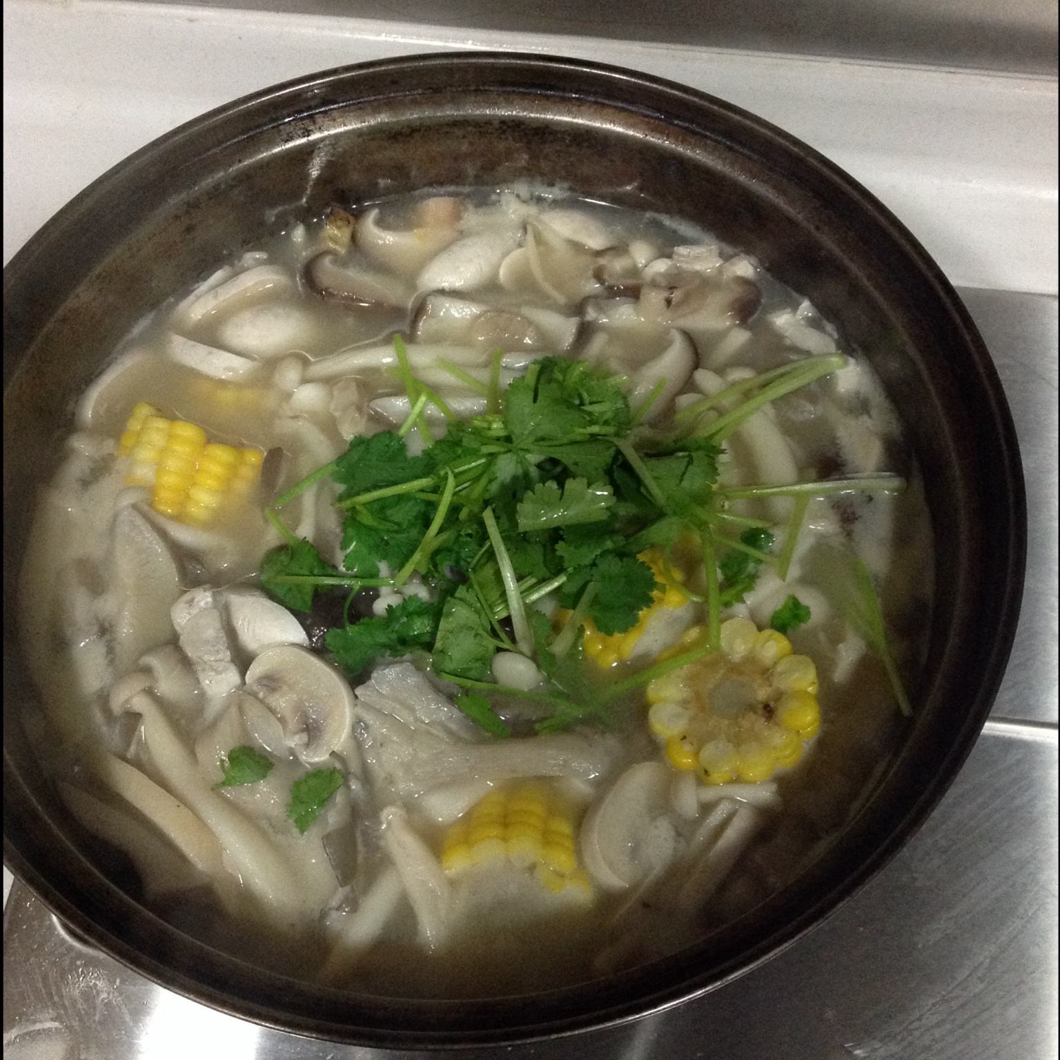 冬日暖汤——菌菇汤