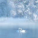 手机用户8718_v6sl