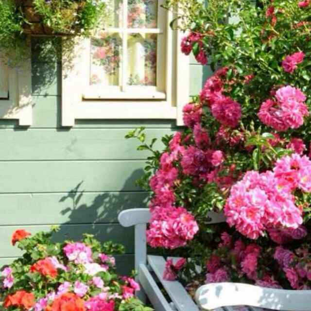 手机用户5720_c8yt