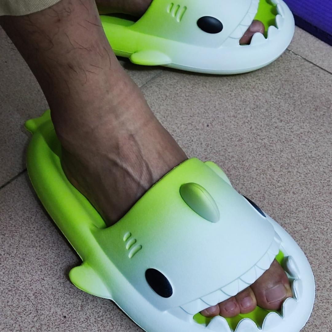 西红柿不睡觉