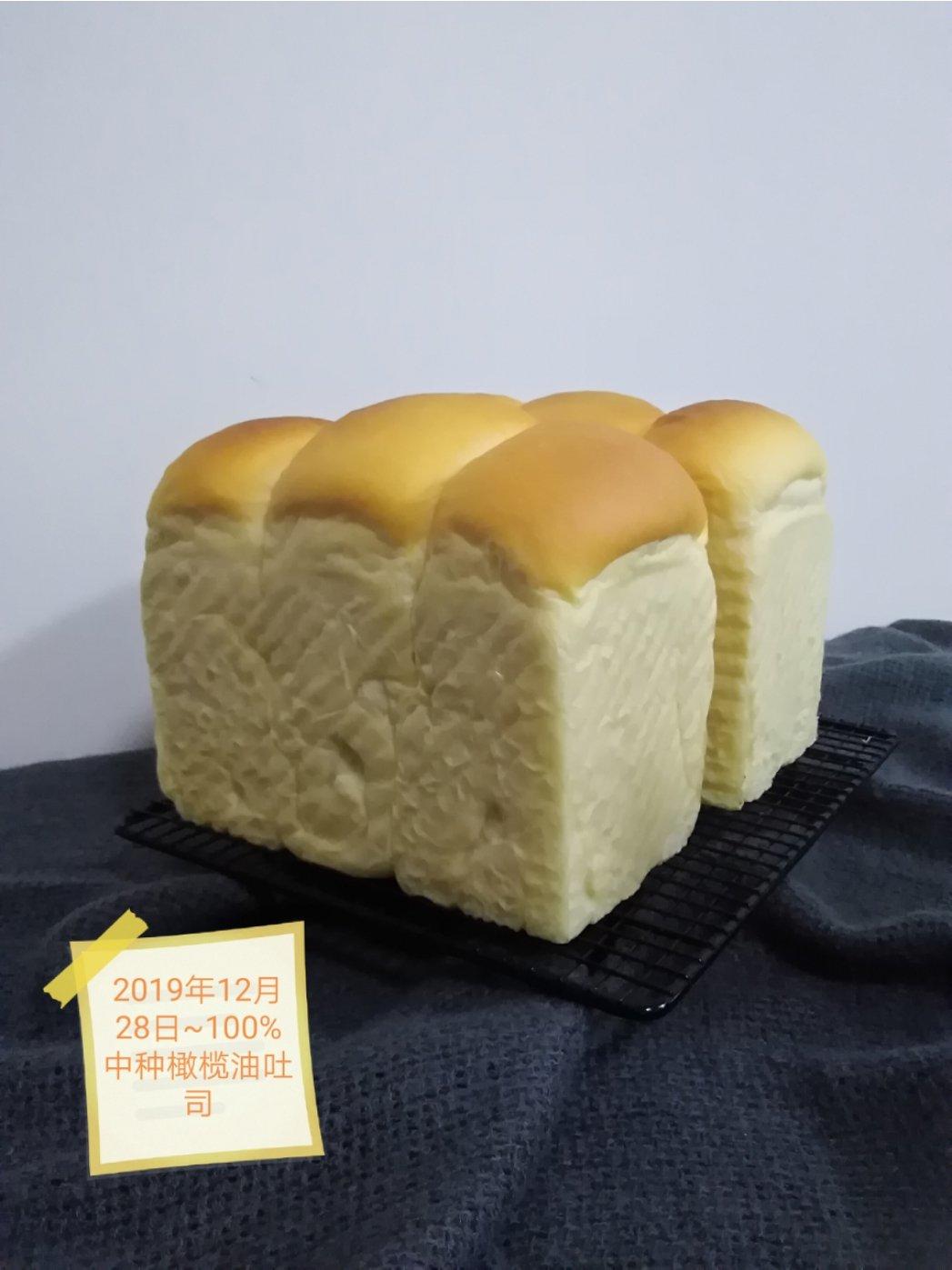 100个橄榄油吐司～向面包匠人们致敬！