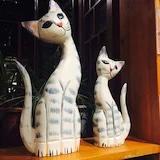 火火又胖了