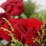 古小月格格的厨房