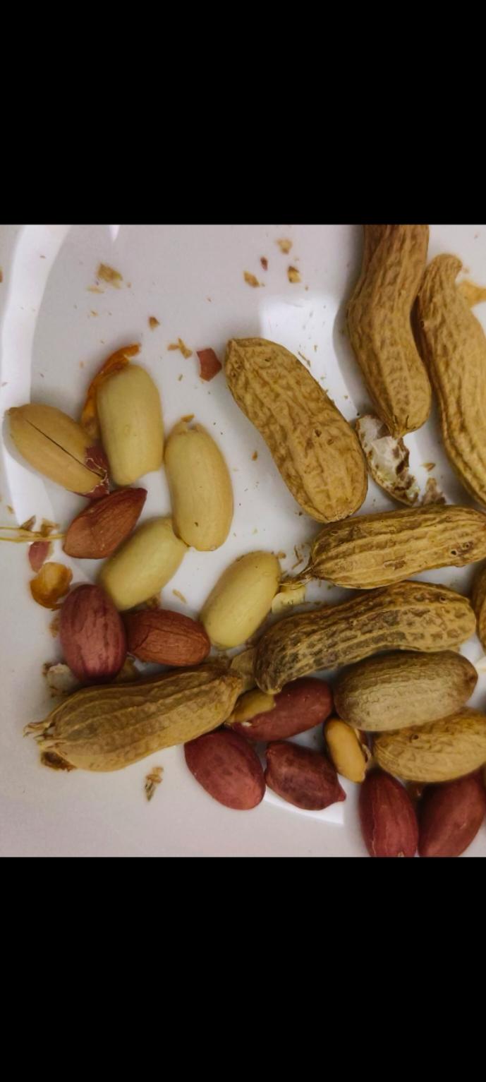 空气炸锅烤花生