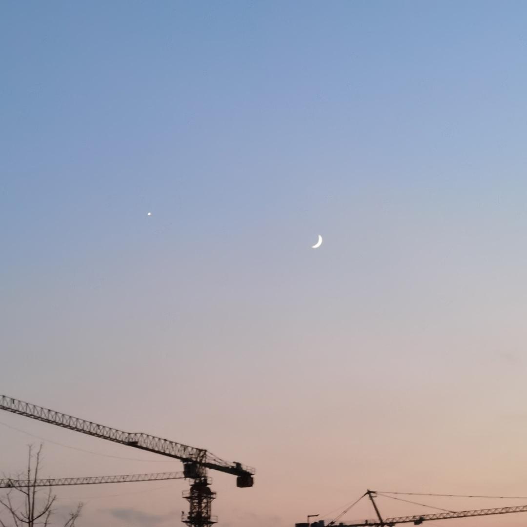 哄哄的饼干