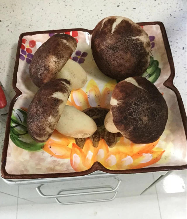 蘑菇包