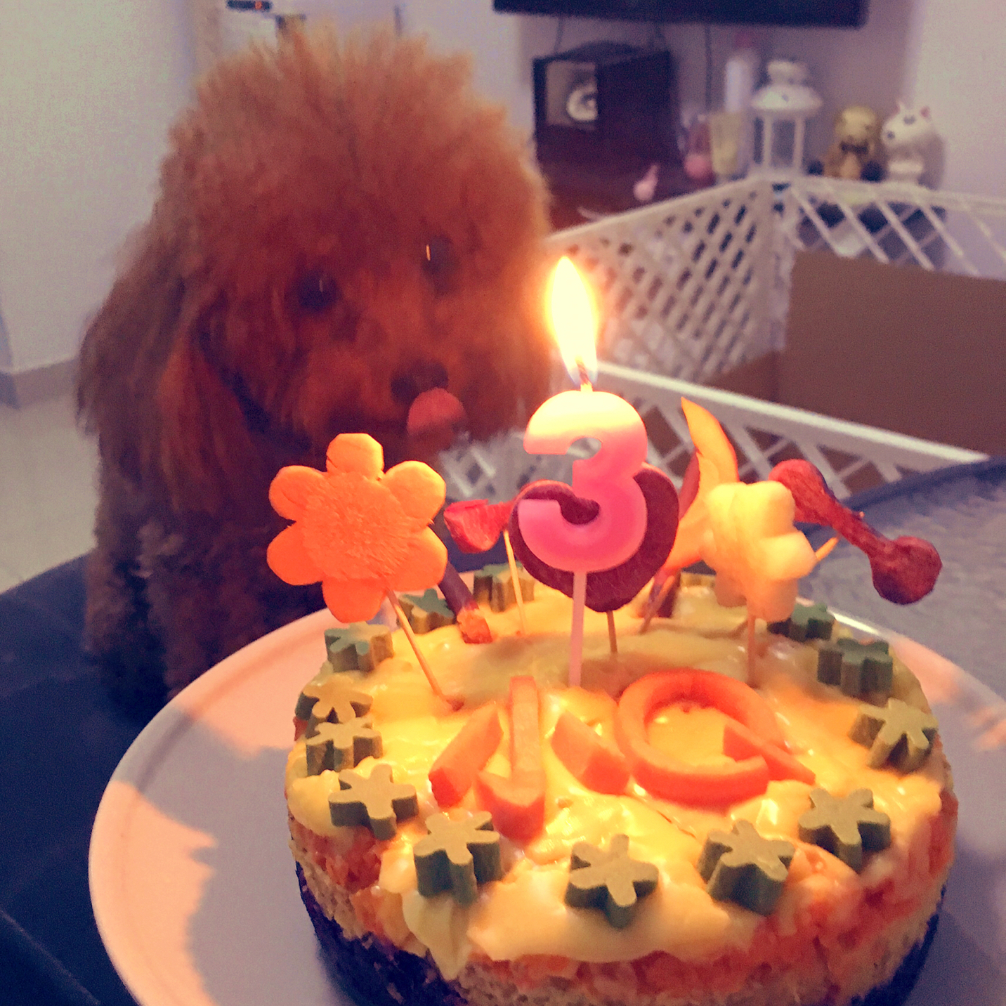 狗狗生日蛋糕（纯天然无色素无面粉）