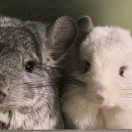 手机用户7561_cn7p