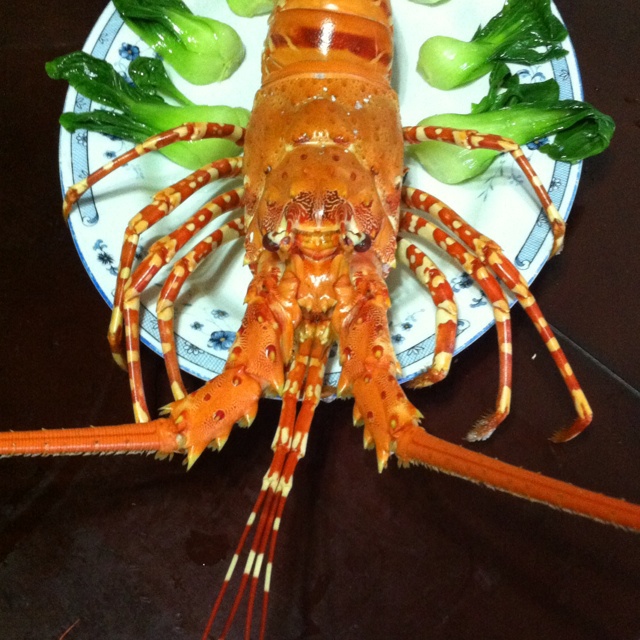 清蒸波士顿龙虾