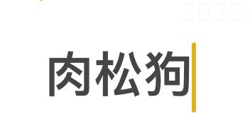 阿祖海鸭蛋黄肉松饭团