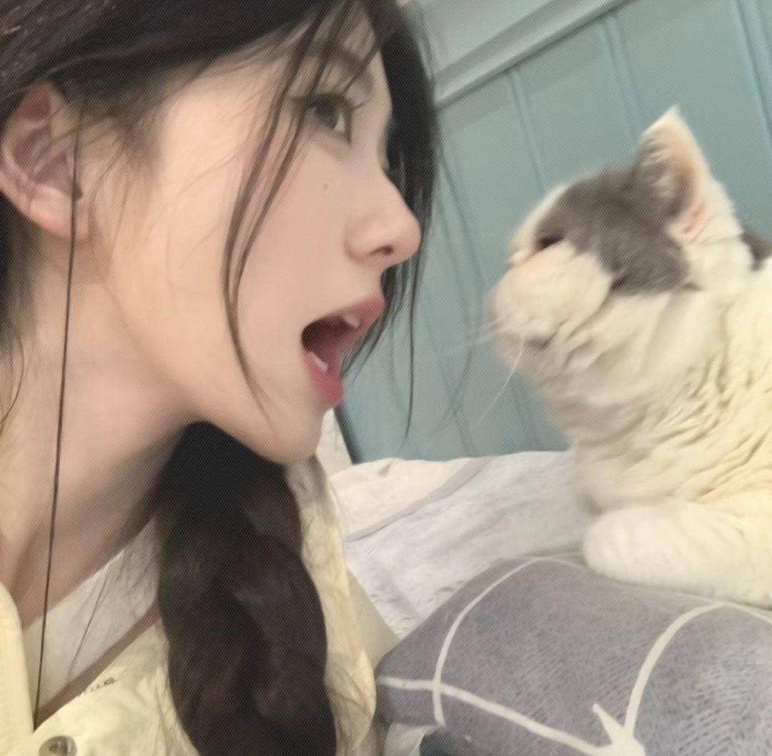 捣莓熊z