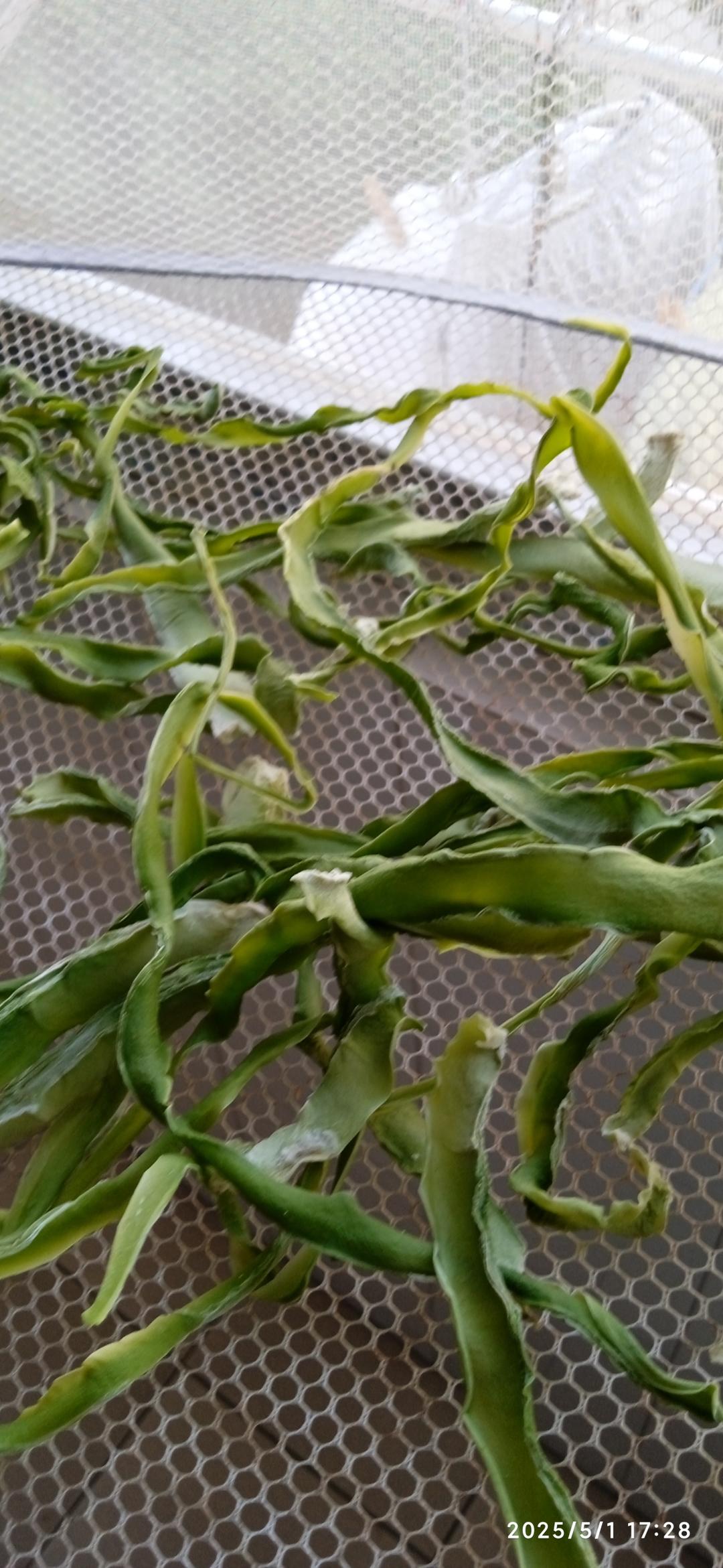 莴笋干（贡菜）