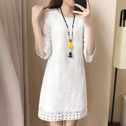 xcf燕子