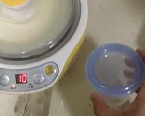 小熊酸奶机自制酸奶的做法 步骤9