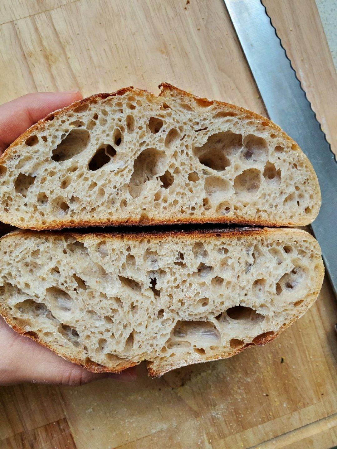 【硬欧笔记】GirlMeetsBread「Sourdough Notebook」