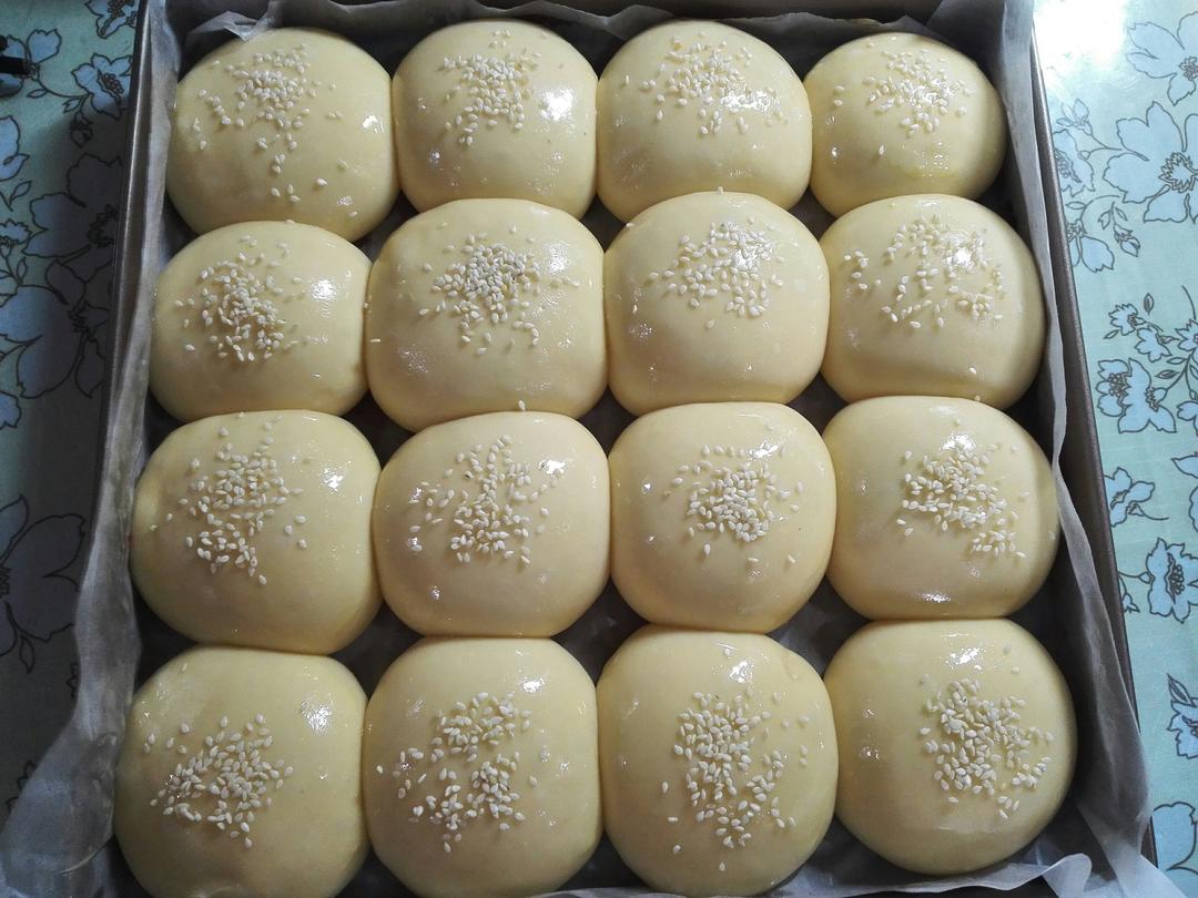 鲜奶油小餐包（一次发酵）
