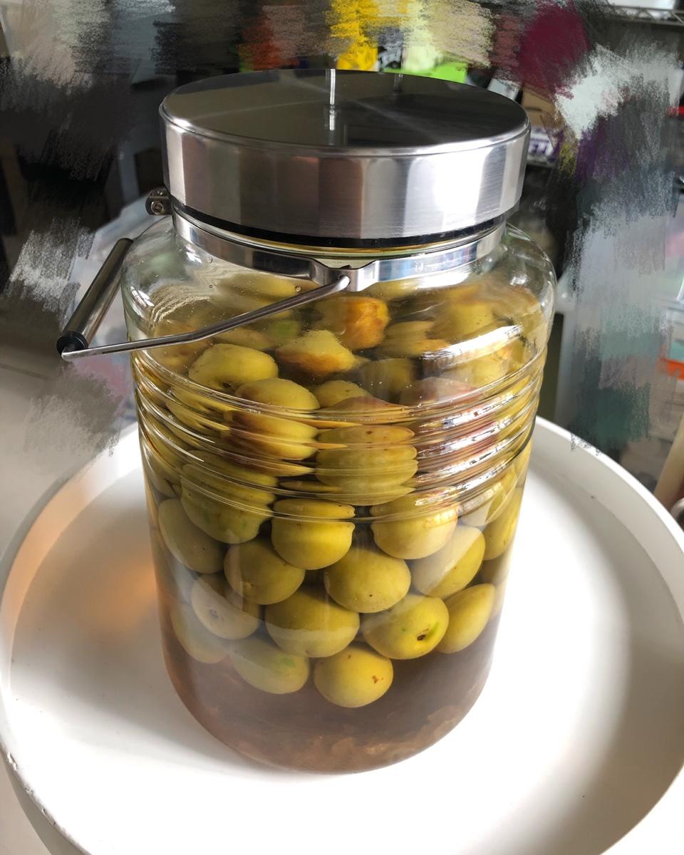 自酿超好喝的青梅酒/梅子酒