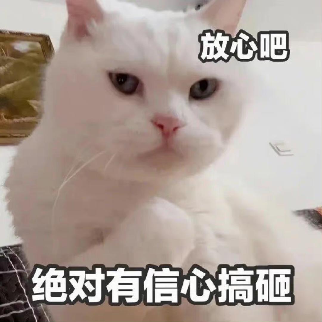 认真生活的小羊