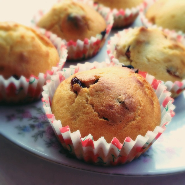 蔓越莓麦芬蛋糕