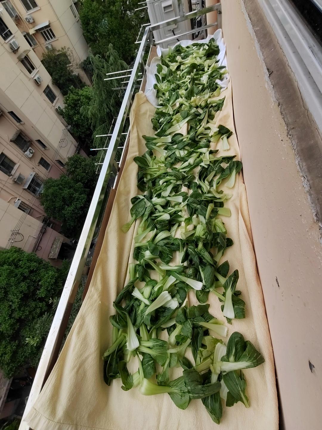 铜陵特产  香辣菜 下饭菜