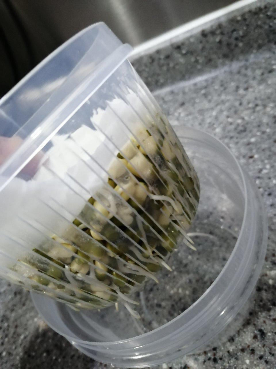 沥水篮发豆芽