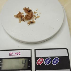 椰汁炖雪蛤的做法 步骤3