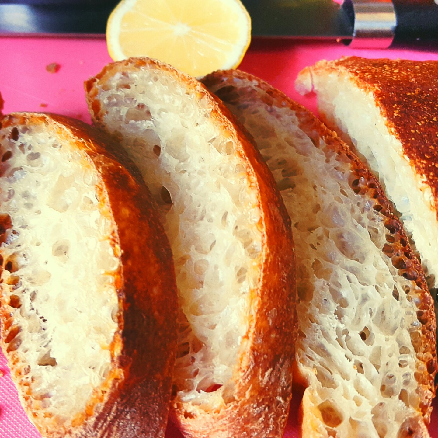 免揉意大利拖鞋面包ciabatta（吐血整理史上最全藤田千秋免揉欧包制作心得）