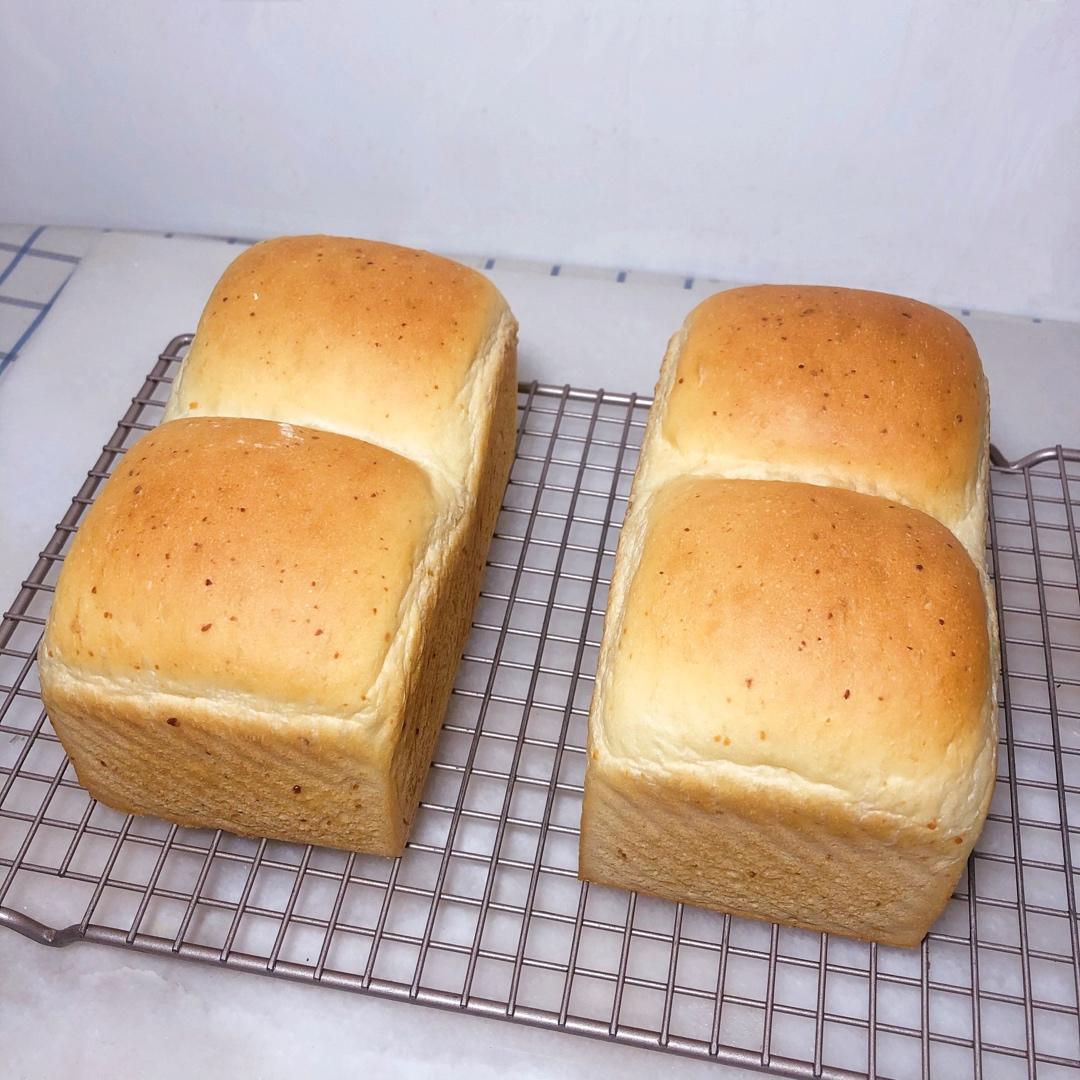 咸芝士吐司【不藏私】