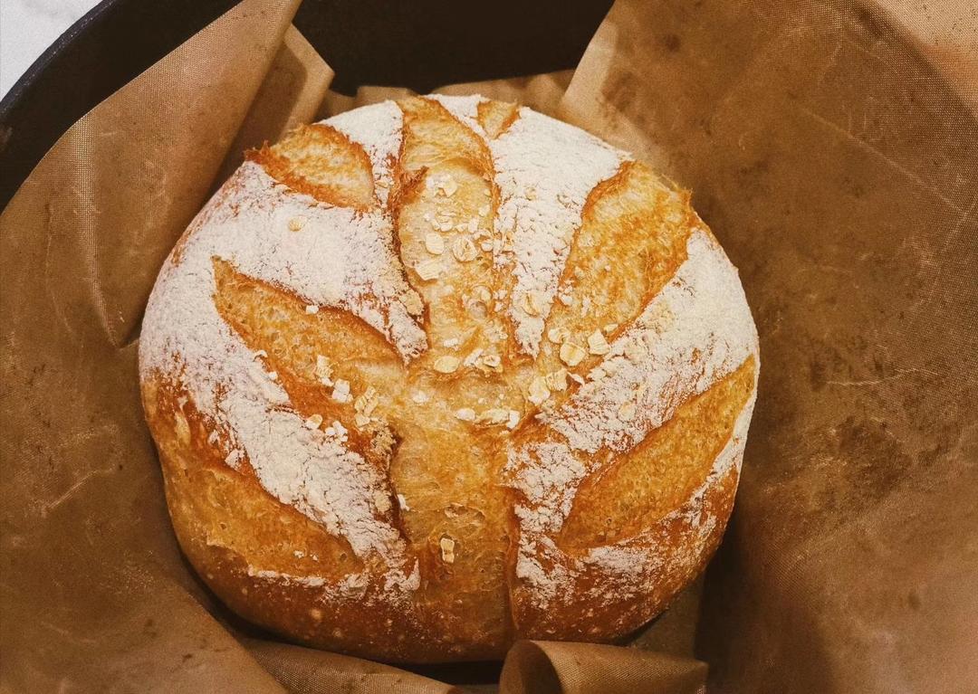 欧包/乡村面包-无油不用揉 No Knead Bread