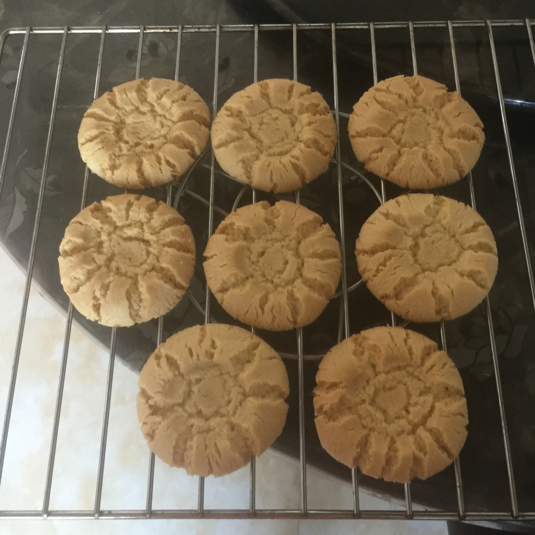 一试就知道好不好的桃酥（猪油版）