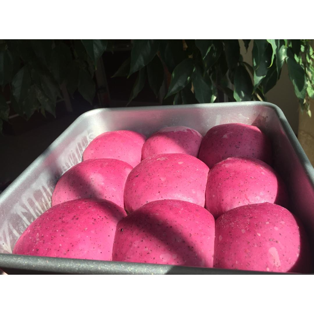 HONEY PINK-红心火龙果小面包