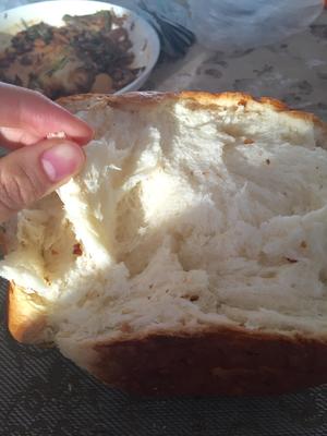 零失败拉丝面包，松下103面包机版的做法 步骤4
