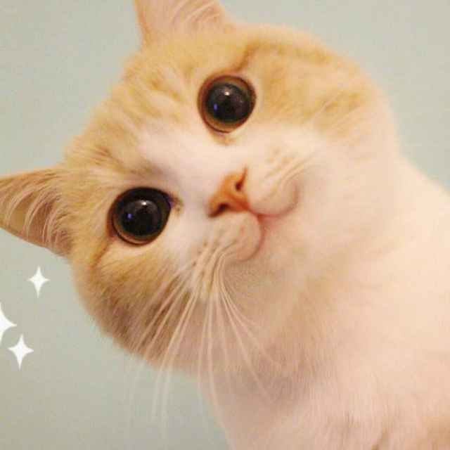 偶然偶然哦哦哦