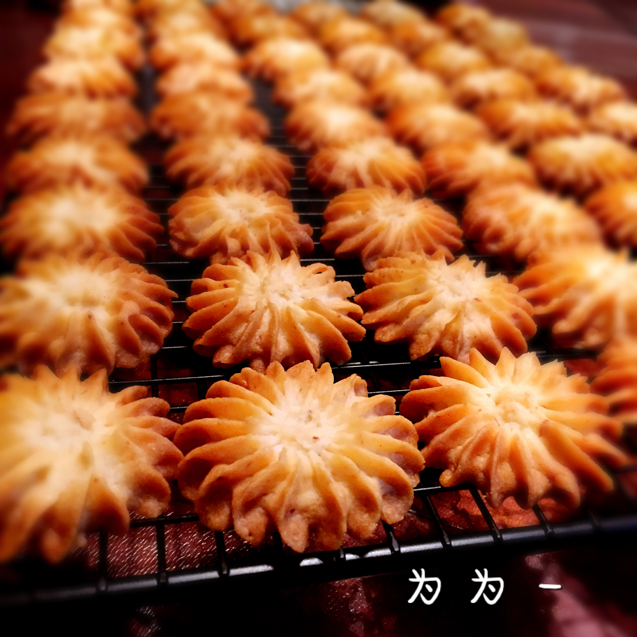 最好吃没有之一的曲奇！