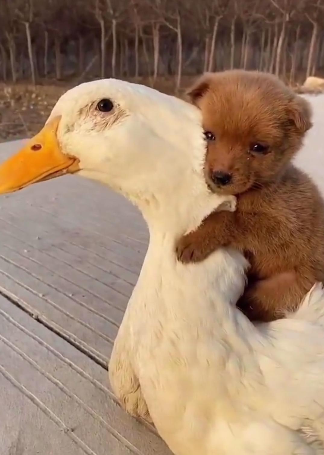 小朋友夜尿多的做法