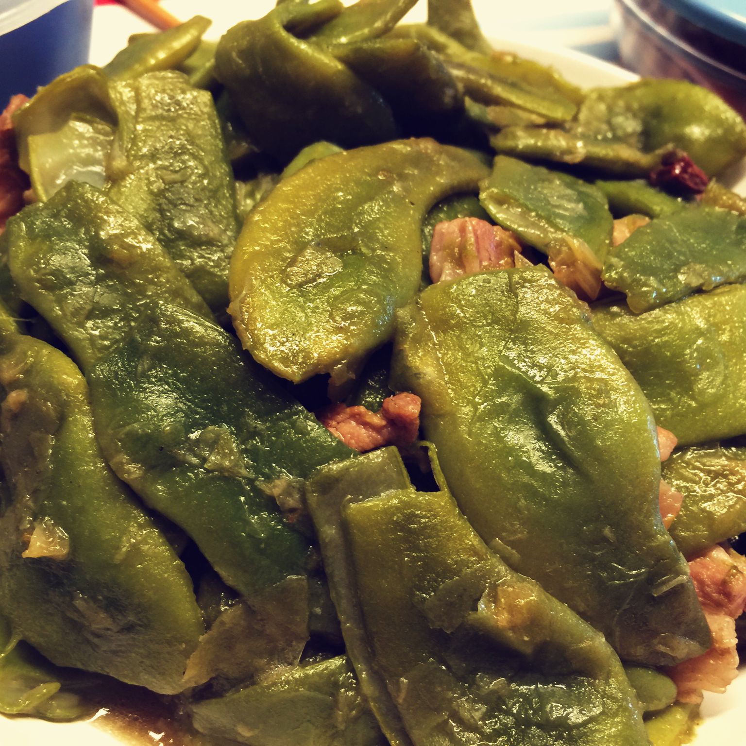 witchold做的家常炖东北油豆角(勾氏私房菜)