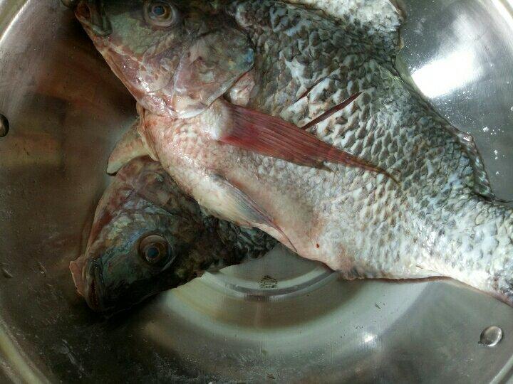 红烧鱼