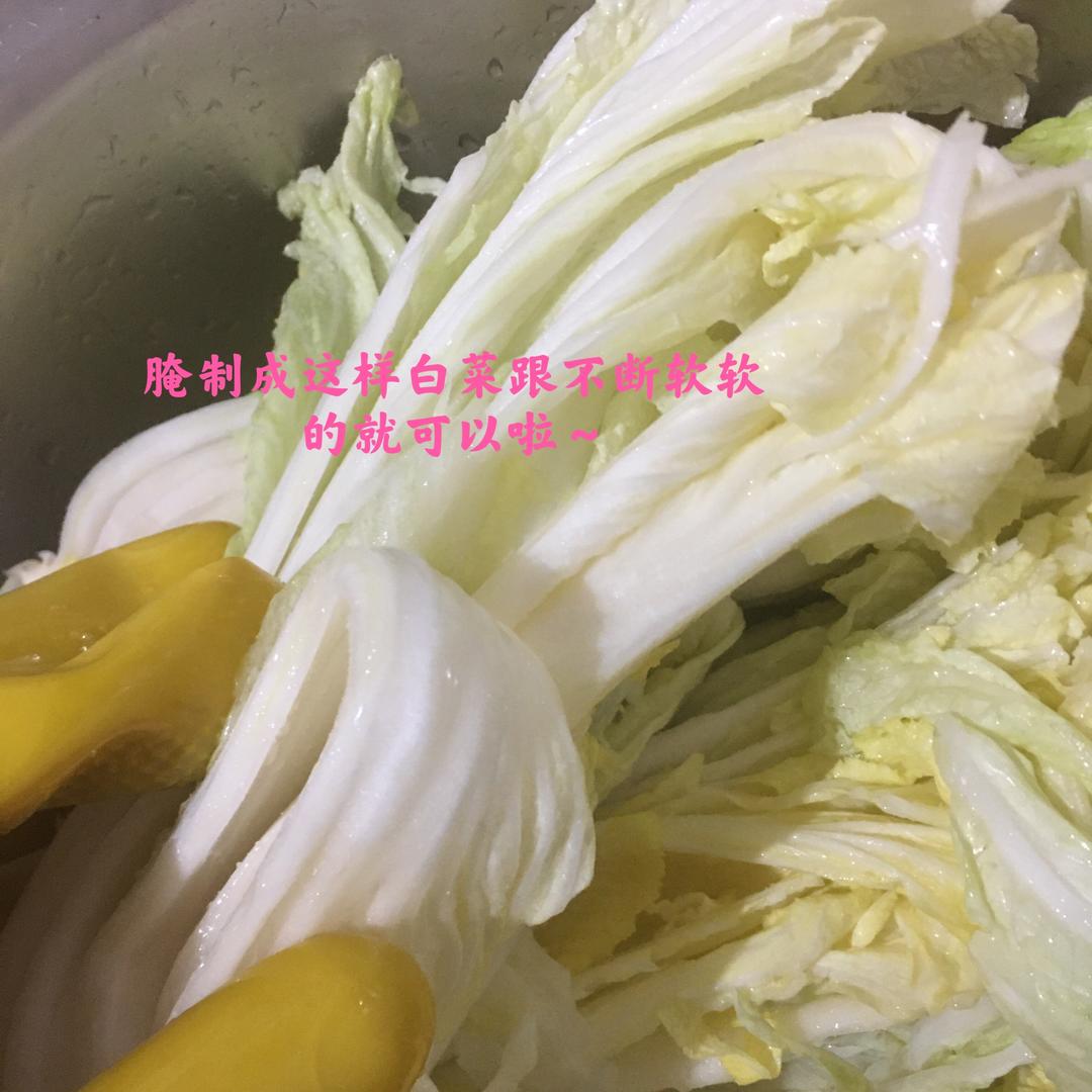 0失误韩国泡菜🥬的做法 步骤7