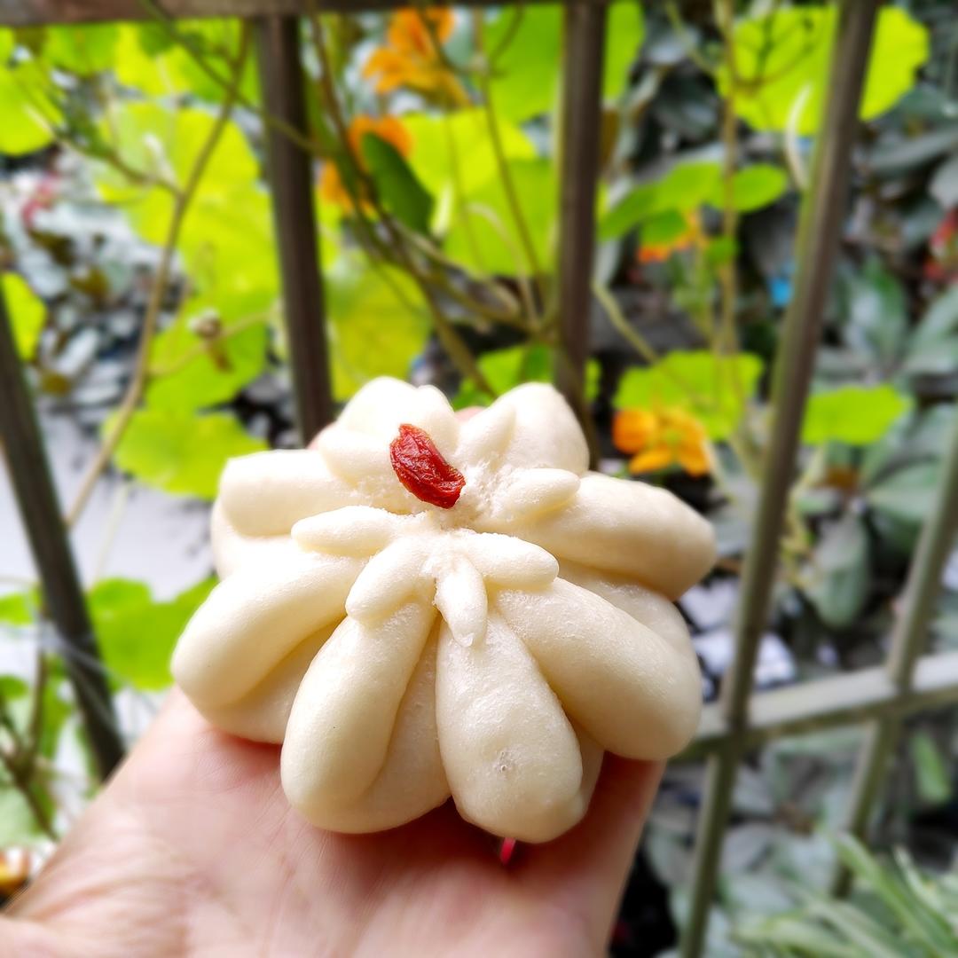 老面花朵馒头的做法