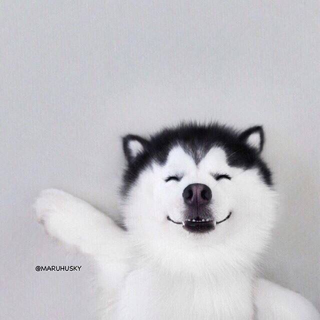 彡彡_SHANSHAN