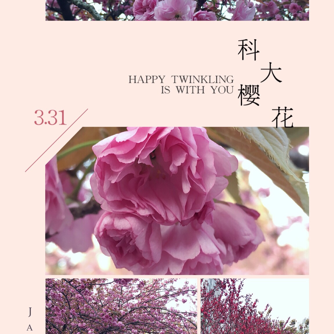 瑶瑶dycc