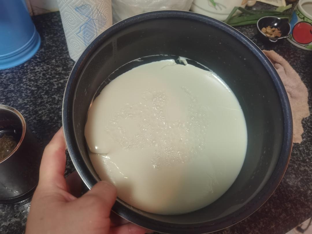 破壁机自制豆浆豆腐脑豆腐